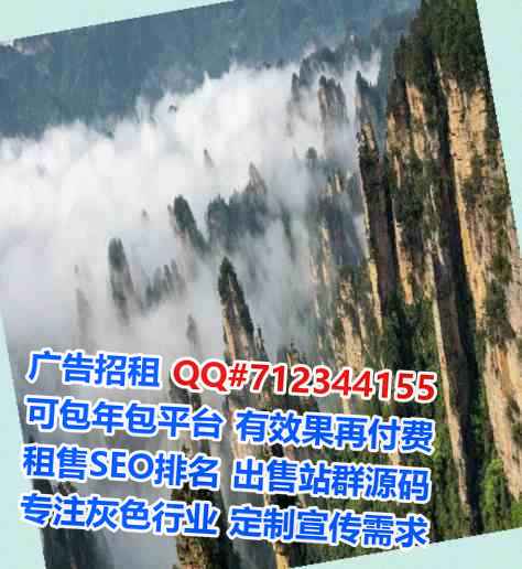 黟县试管网络科技工作室